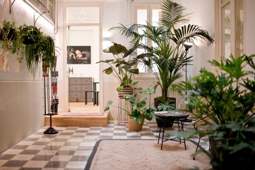 Nostrale bnb, Palermo