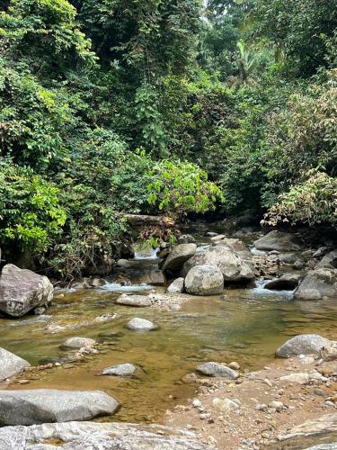 BUKIT LIMAU REST HOUSE BUKIT LIMAU REST HOUSE