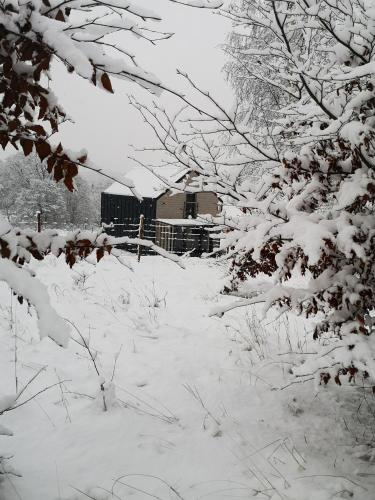 A környék, Domek Nasze Miejsce in Gluszyca Gorna