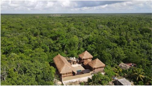 Tampilan eksterior, Jungla y Estrellas in Akumal