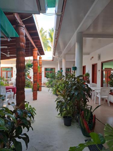 Summer Sky Thoddoo Summer Sky Thoddoo