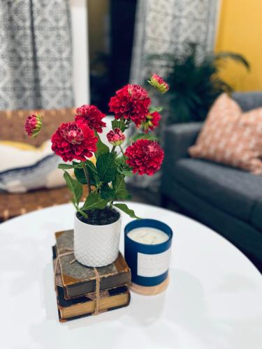 Cozy Modern 2 bedrooms 2 baths unit in Hollywood