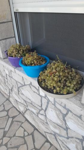 Apartman Rodin - image 7