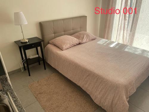 Studio à 300 m de la gare de Mantes-la-Jolie Room Type - Studio