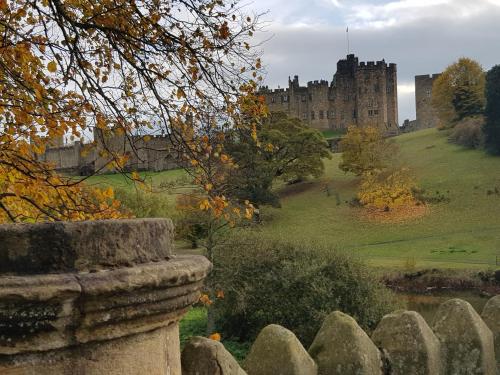 19 Duke Street 19 Duke Street