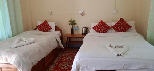 Standard Double Room with Two Double Beds