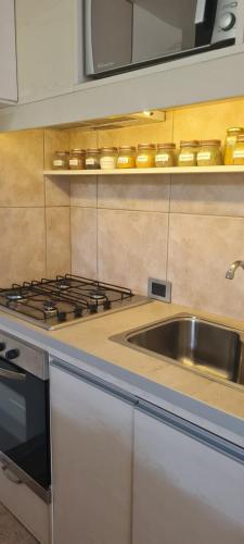 Two-Bedroom Apartment image 10