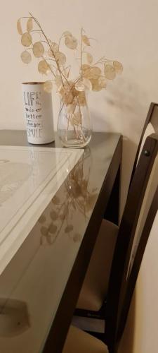 Melipal Schuss ARG41 - Photo 2