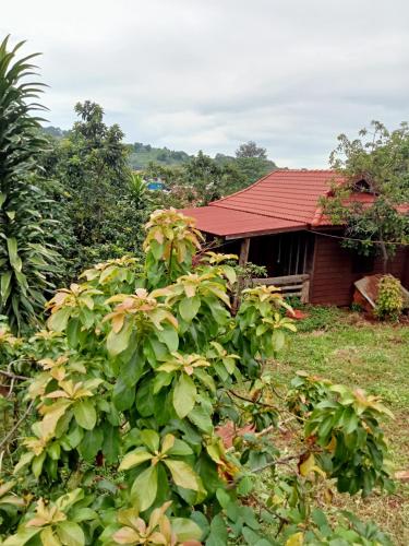 Ratanak Tep Rithea homestay in Banlung