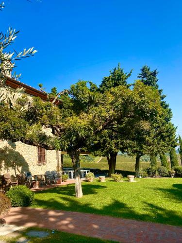 Room in BB - Alessio room overlooking the vineyards of Tuscany