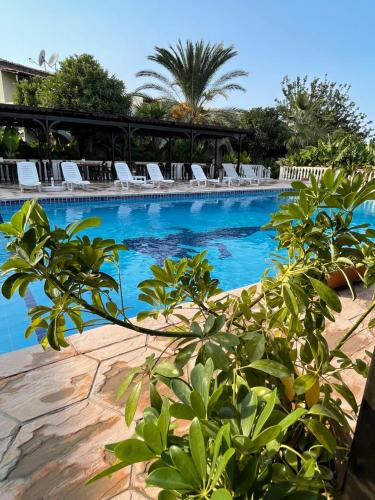 Club Alda - image 7