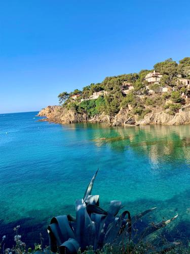 Cabanon contemporain - Côte bleue - Calanque de la Redonne