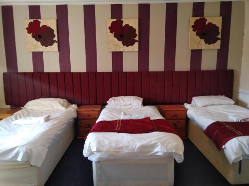 Aberdeen Arms Hotel Tarland Room Type - Triple Room with Shower