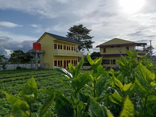 Berastagi Mountain View Homestay & Pizzeria