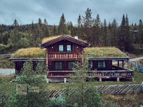 Grand cabin Nesfjellet lovely view Jacuzzi sauna