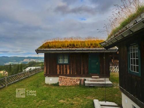 Grand cabin Nesfjellet lovely view Jacuzzi sauna