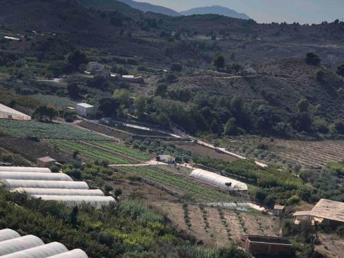 Finca Grace