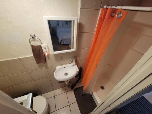 Comfortable Apartment - Pittsburgh's Little Italy thumb 2