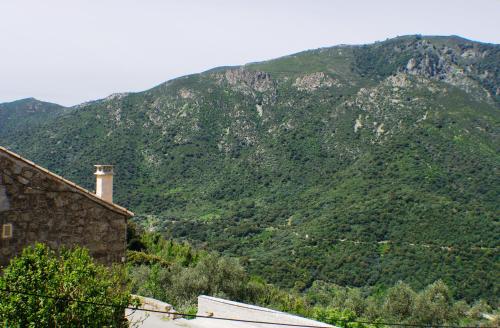 Studio Le Petit Nid d'Amour meublé Tourisme 3 étoiles Poggio