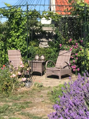 T Huuske tuinappartement met fantastisch uitzicht, nabij Zee in Zonnemaire