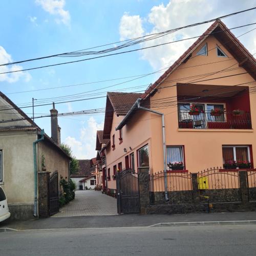 Vila Vlăduț