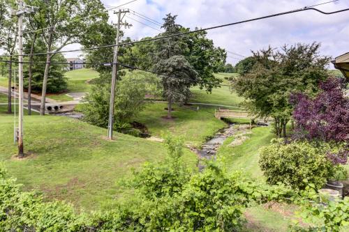 Branson Resort Condo Minutes to Silver Dollar City - image 40