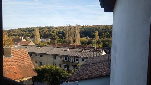 Gasthaus Krone in 佛茨海姆