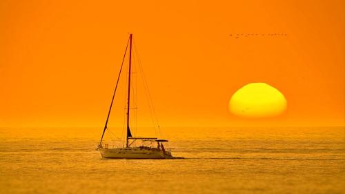 CANELA & LUXURY ÁTICO Centro-Ayamonte - image 8