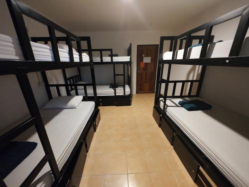Blanco Central Room Type - Bed in 6-Bed Mixed Dormitory Room