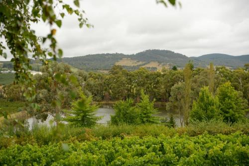 Borrodell Vineyard