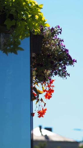 Brand New and Modern 1BDR Apartment Brand New and Modern 1BDR Apartment