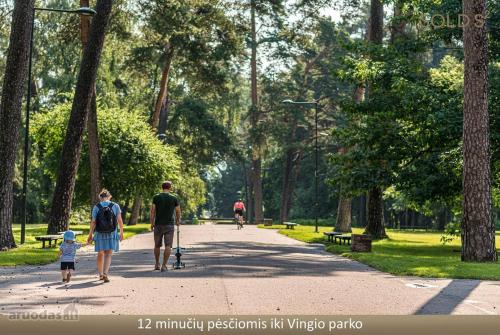 Brand New and Modern 1BDR Apartment Brand New and Modern 1BDR Apartment