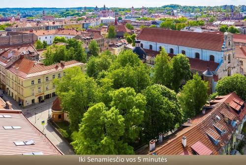 Brand New and Modern 1BDR Apartment Brand New and Modern 1BDR Apartment