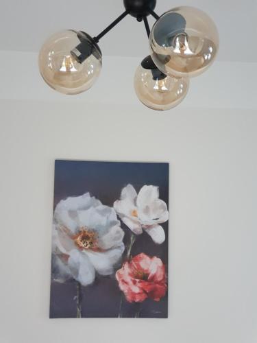 Cēsu mājas Rīgas ielā (Cesu majas Rigas iela) in Cesis