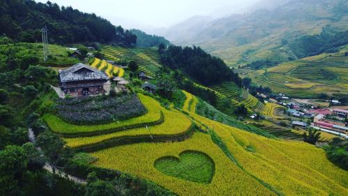 Mu Cang Chai Big view homestay