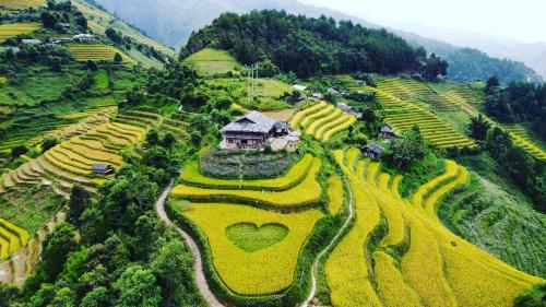 Mu Cang Chai Big view homestay