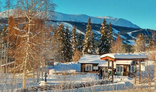 Trysil Hyttegrend in Trysil