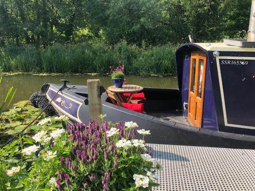 Willow - Cottage on the River, Luxury Houseboat