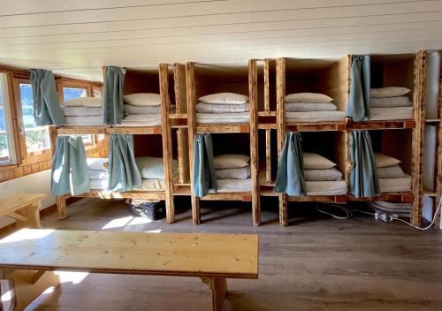 Mountain Hostel Gimmelwald - image 12