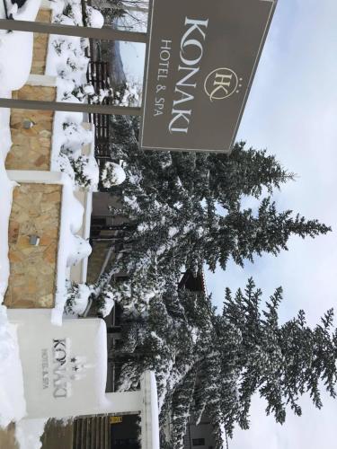 Hotel Konaki in Arnea