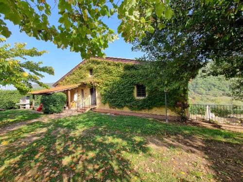 Scenic villa in Cintoia-FI with private pool