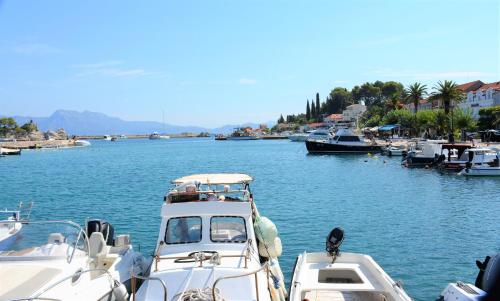 Guesthouse Aurora - image 7