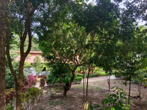 Khao Sok River & Jungle Bungalow