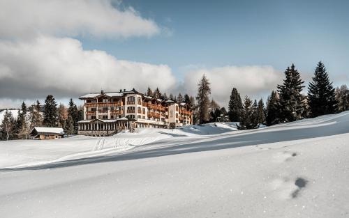 Hotel Steger-Dellai - Alpe di Siusi/Seiser Alm