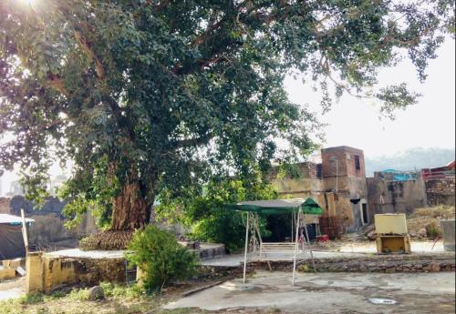 Haveli Elephant Stable