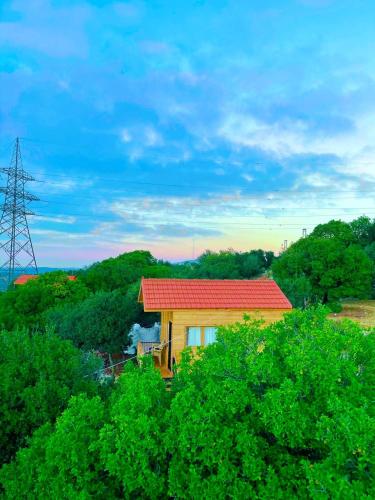 Ajloun Wooden Huts اكواخ عجلون الخشبية Live amid nature in Ajloun