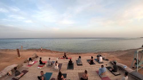 New Moon Island Camp in Nuweiba Waterfront