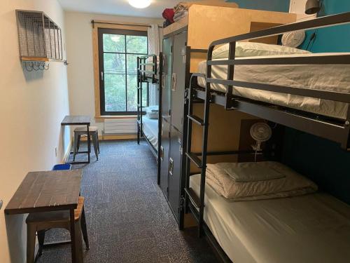 Single Bed in 4-Bed Male Dormitory Room