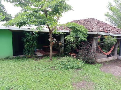 Loren's House