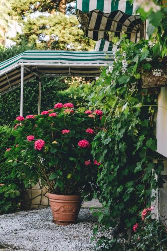 Hotel Eveline Portosole